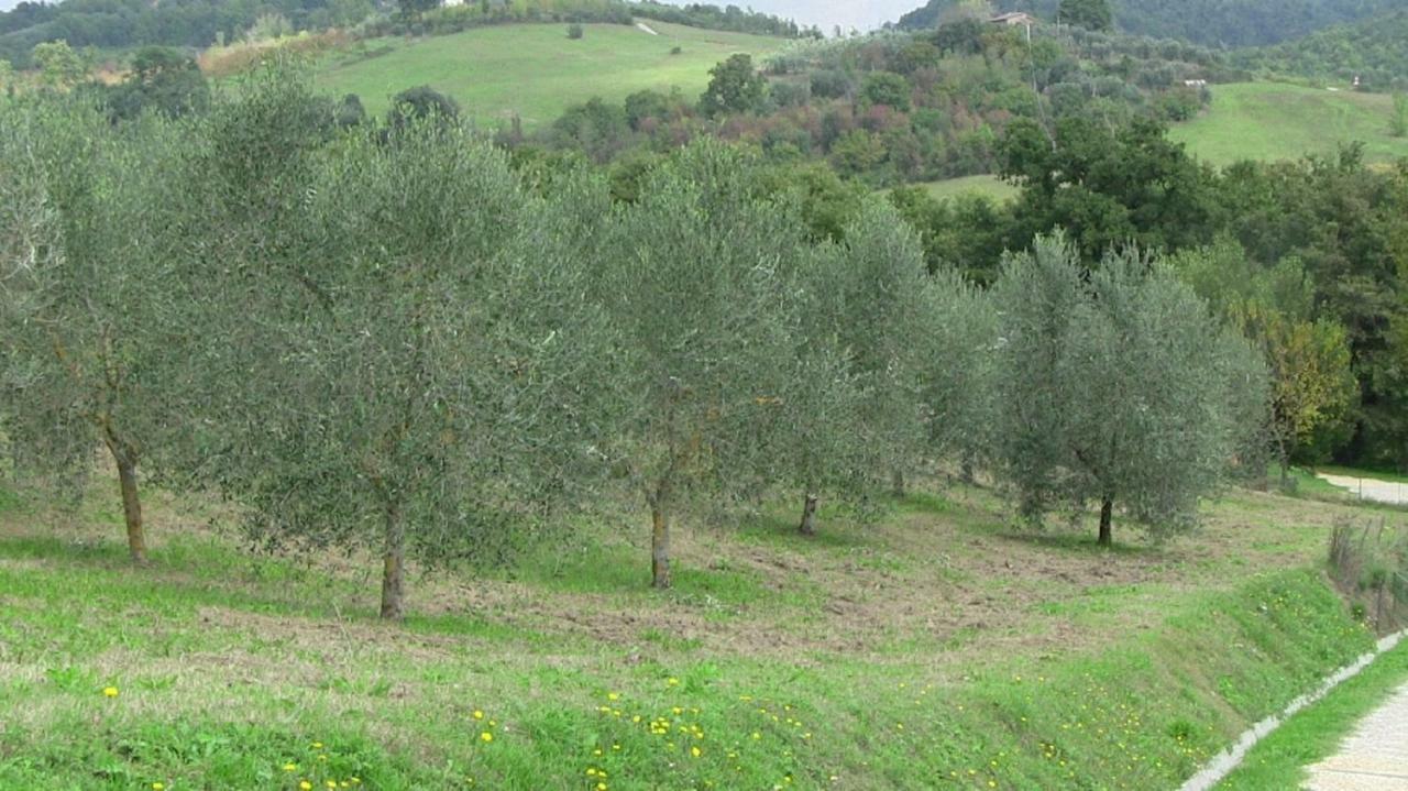Agriturismo Frallarenza Ficulle Exteriör bild