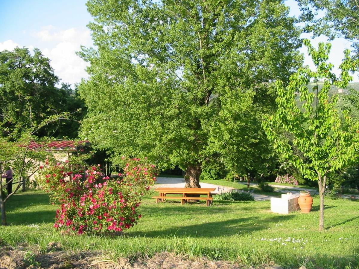Agriturismo Frallarenza Ficulle Exteriör bild