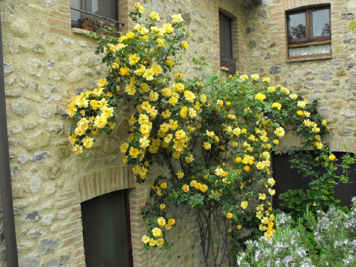 Agriturismo Frallarenza Ficulle Exteriör bild